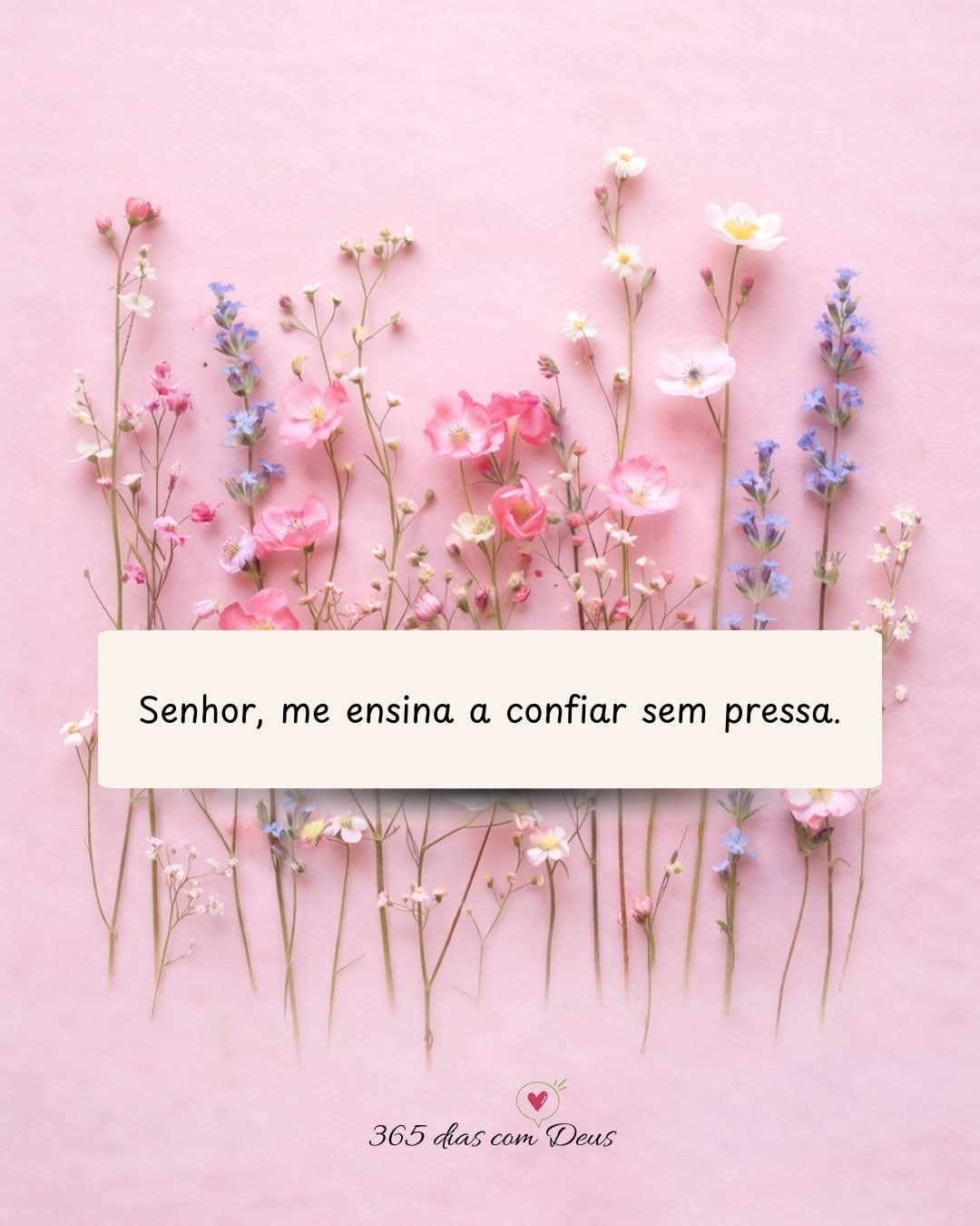 Imagem_0002.jpg